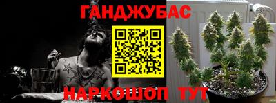 соль ск Бийск