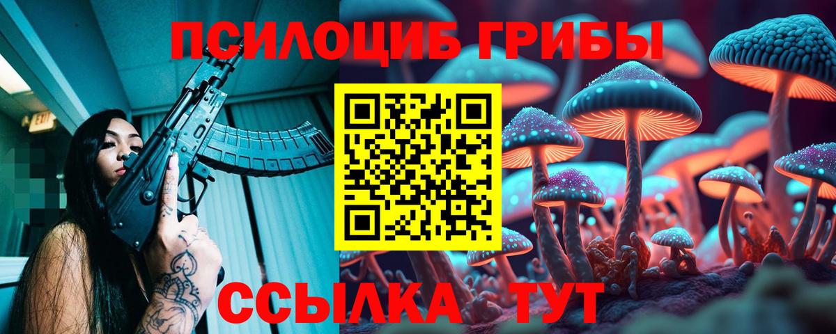 Улан-Удэ  где найти наркотики  Вход с VPN  Псилоцибиновые грибы MAGIC MUSHROOMS  Псилоцибиновые грибы мицелий 