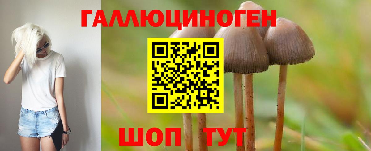 Псилоцибиновые грибы GOLDEN TEACHER Улан-Удэ